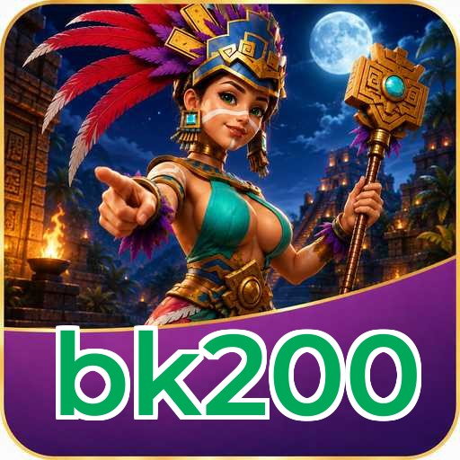 bk200 APK Structure